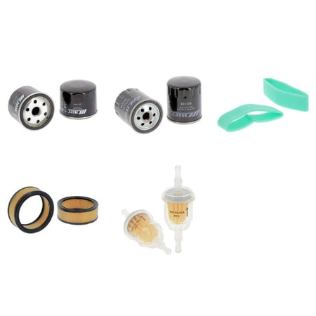 Agria 5900 TAIFUN Filter Kit with Briggs-Stratton engine 2006-