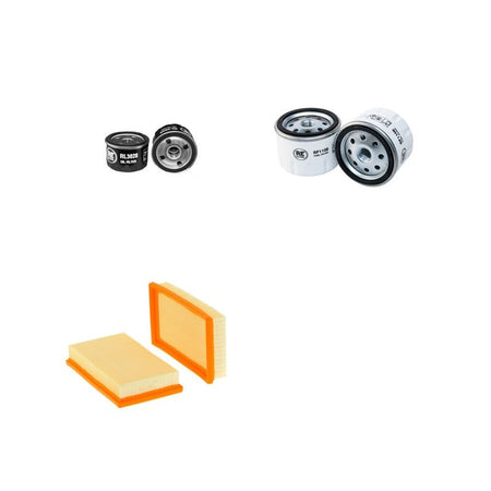 GEHL F50 Filter Service Kit Air Oil Fuel Filters w/Lombardini LDW903FOCS Eng.