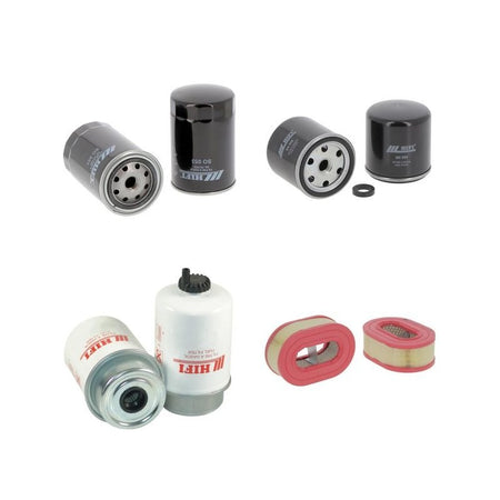 Palfinger ELA 412308 Engine Filter Kit with Hatz 4 L 42 C engine