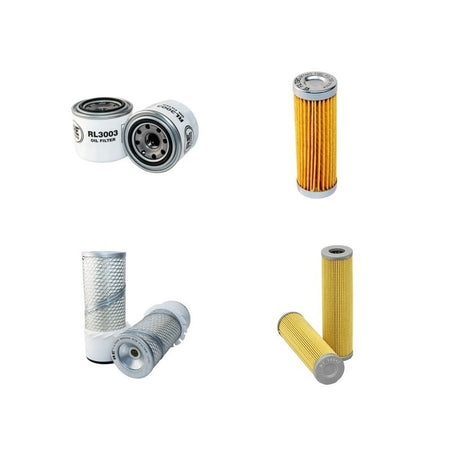 RASANT RASENBUGGY Filter Service Kit w/Kubota V1200 Eng.