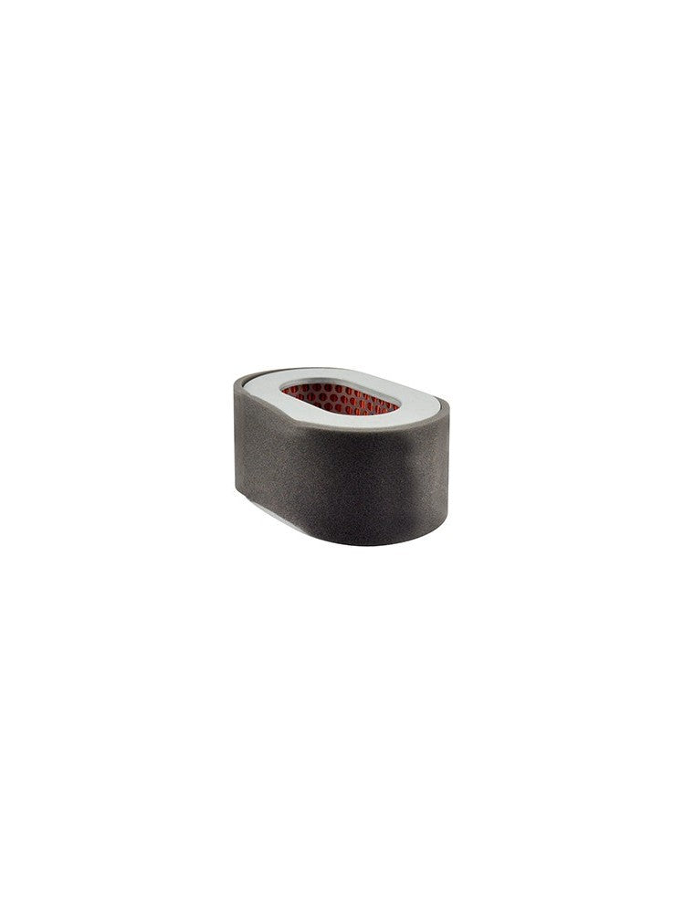 RA2069 Oblong Air Filter with Foam Wrap