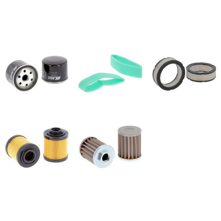 Saelen GS PREMIUM 22 R Filter Kit with Vanguard engine 2009-